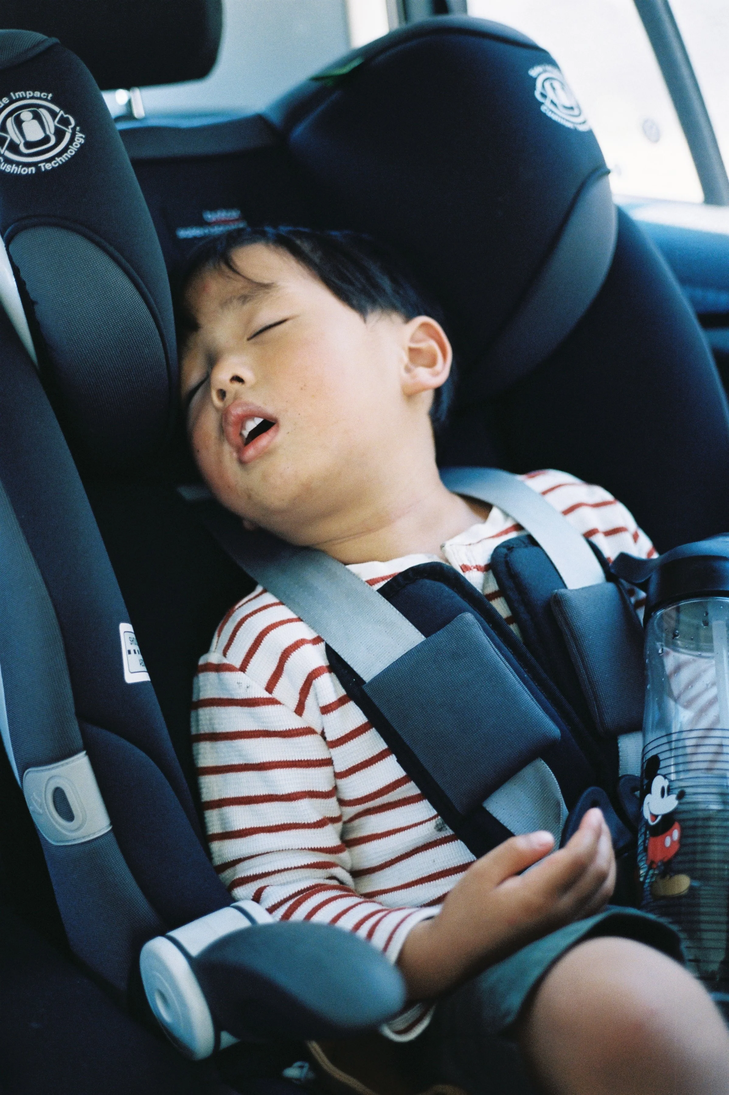 Melbourne 2020 1488.JPG