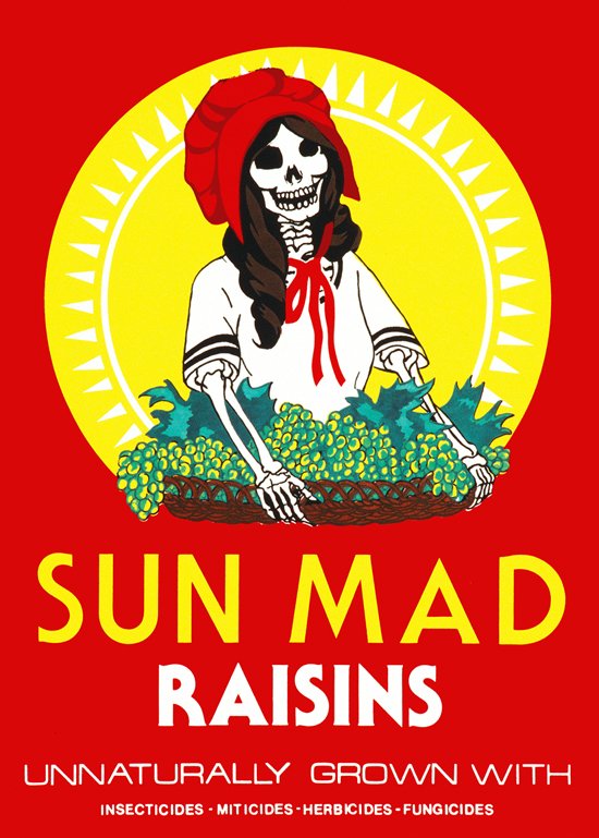 Sun Mad Raisin