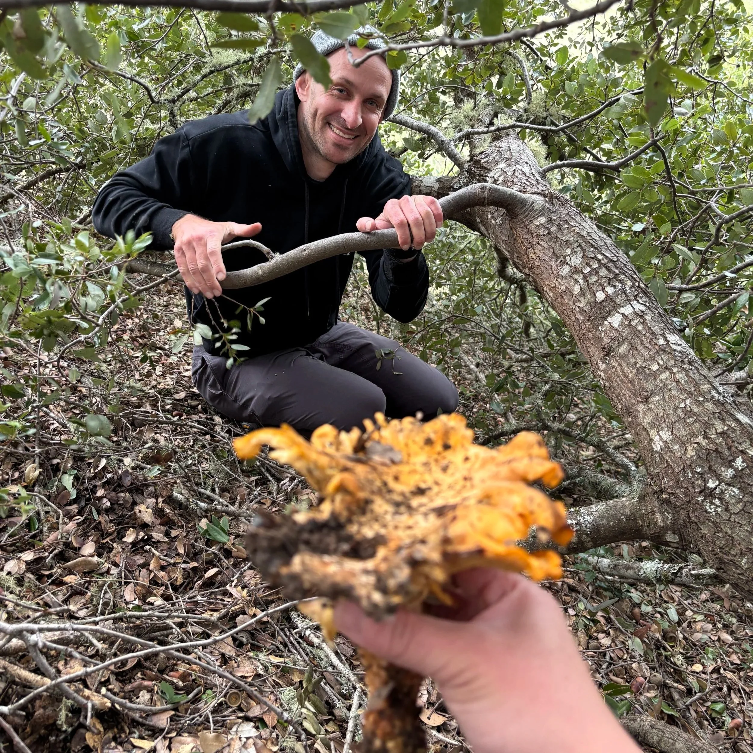 2025: A Year of Change, Growth, and Building New Routines