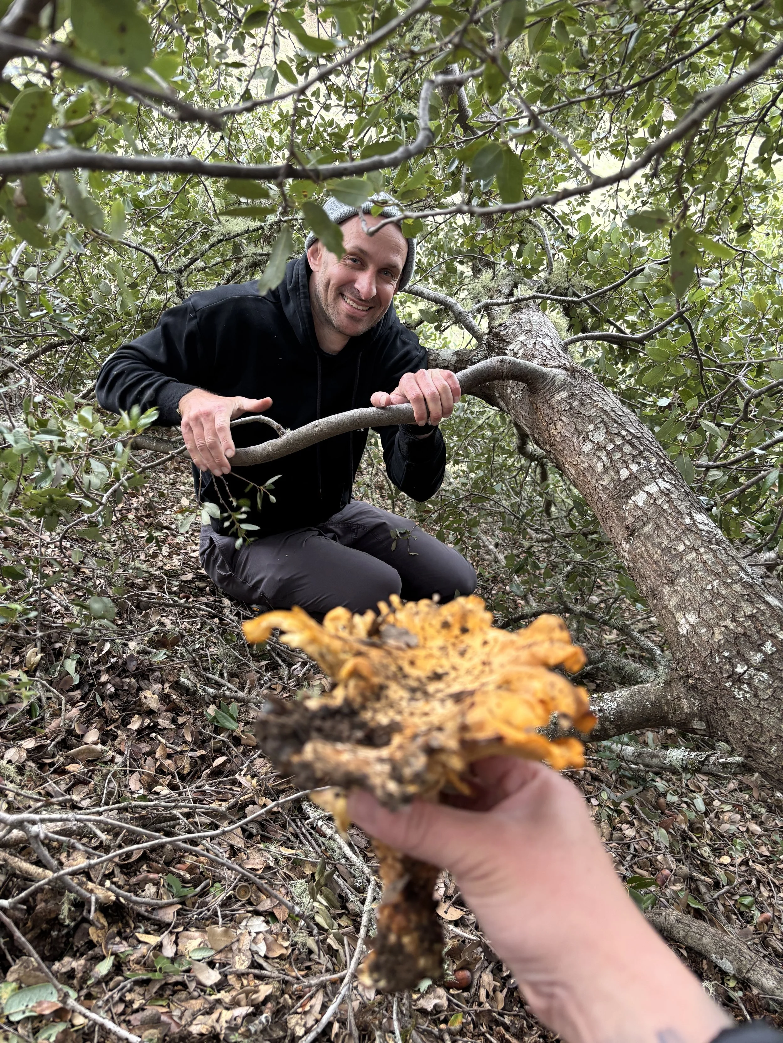 david hiking with mushroom.jpeg
