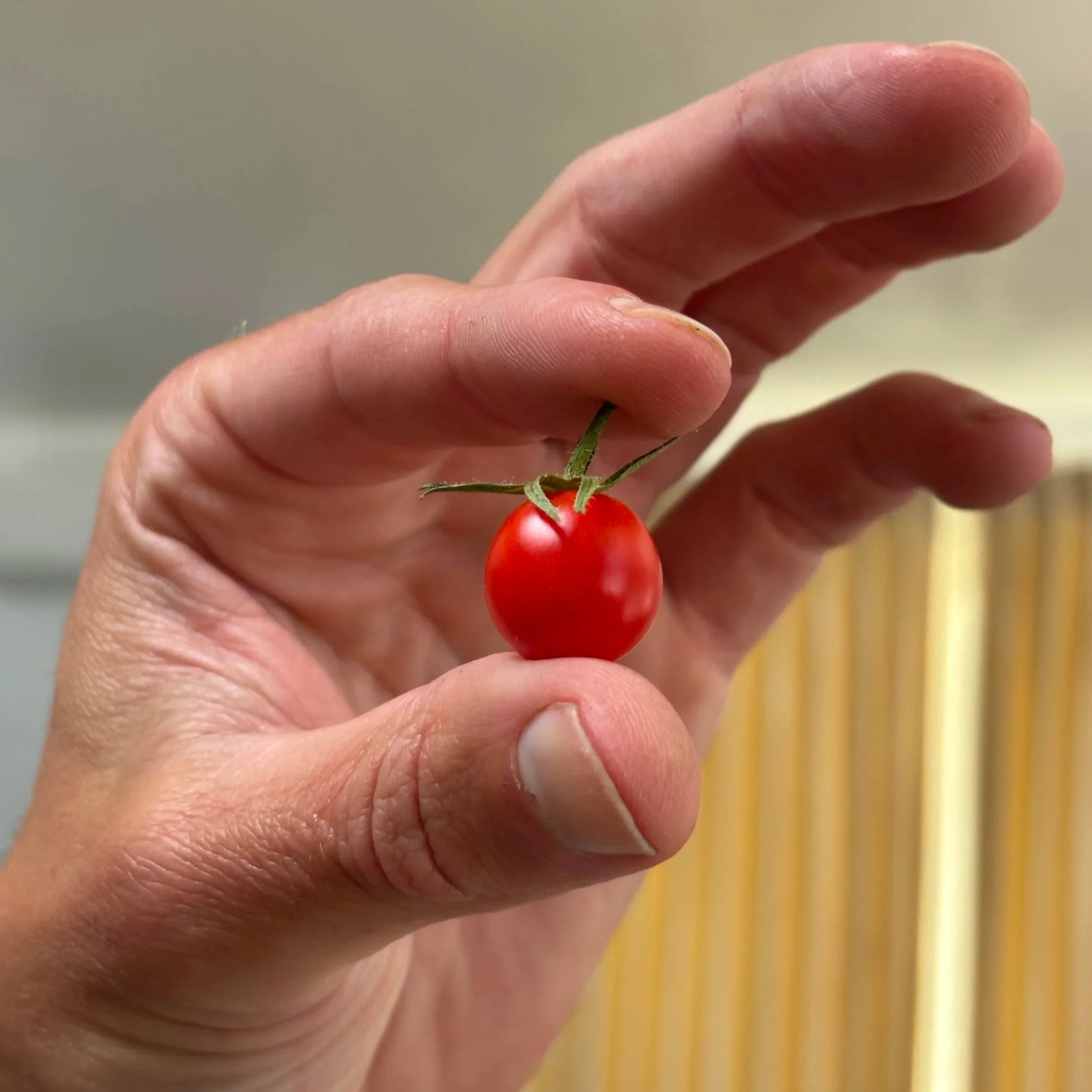 Why Calorie Tracking Works (and Why It Often Fails)