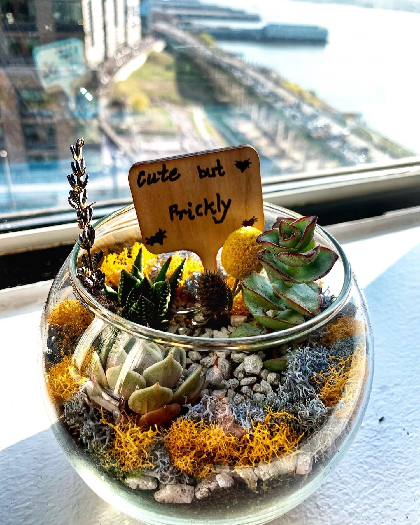 Who says team events have to succ when we&rsquo;re wfh? 

Loved making terrariums with my cool boss @sfjenleungny and team this afternoon! thanks @marbledmint for teaching us how and all the components, my thumb is slowly turning greener 💚