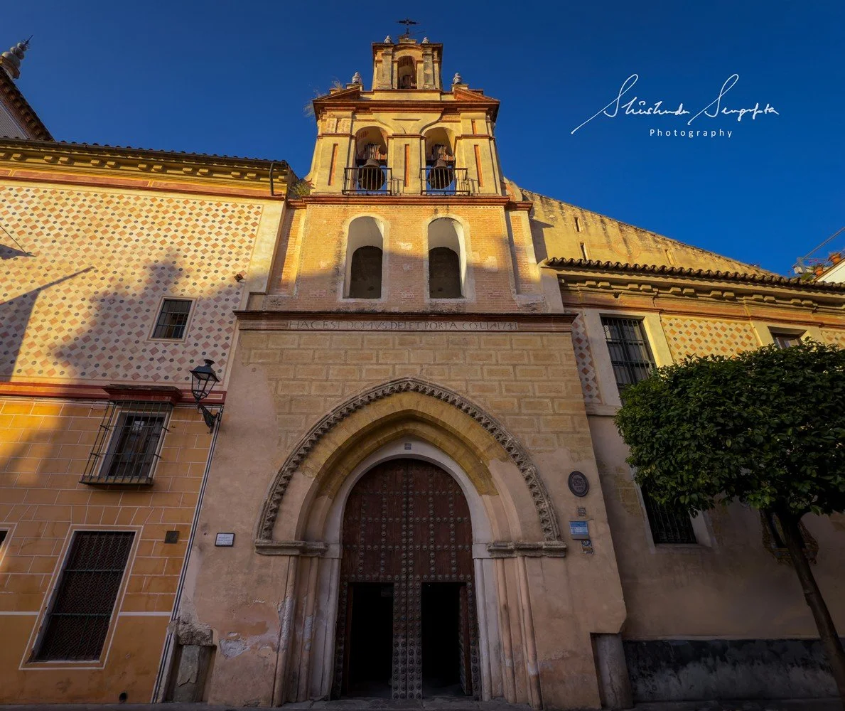 seville spain featuring historic old town barrio de santa cruz royal alcazar palace cathedral and plaza espana