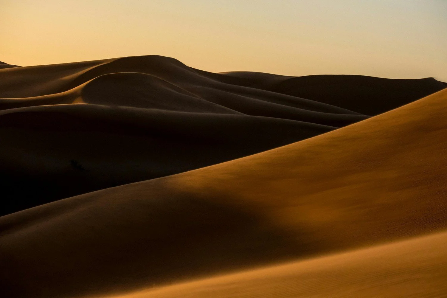Golden Hour Photography in the Dubai Desert