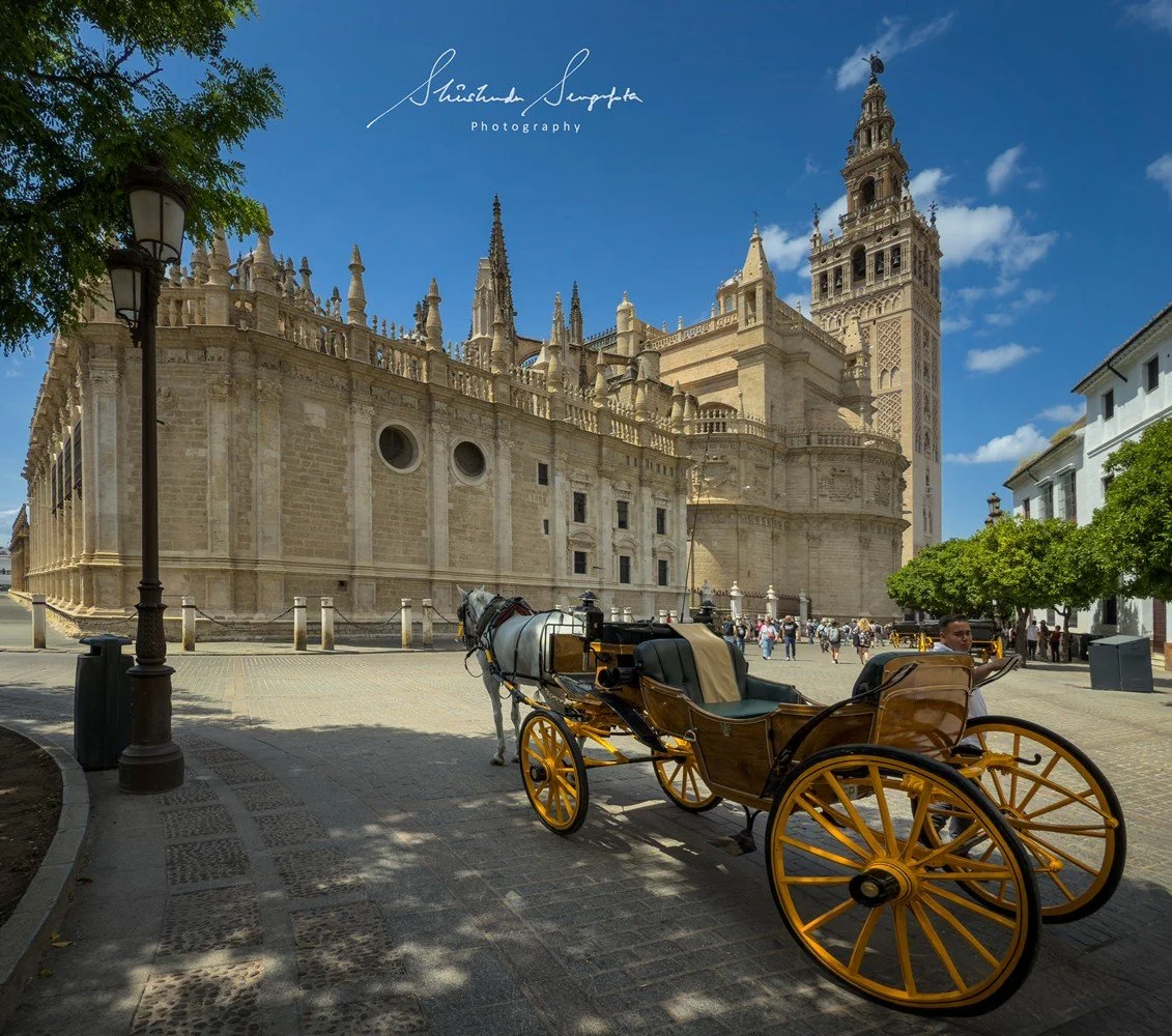 seville spain featuring historic old town barrio de santa cruz royal alcazar palace cathedral and plaza espana