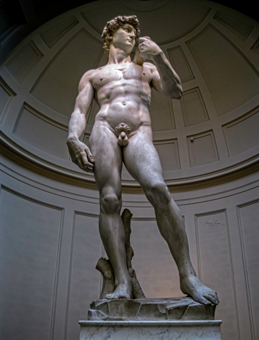 the original version of Michelangelo's David in Accademia gallery florence tuscany Italy