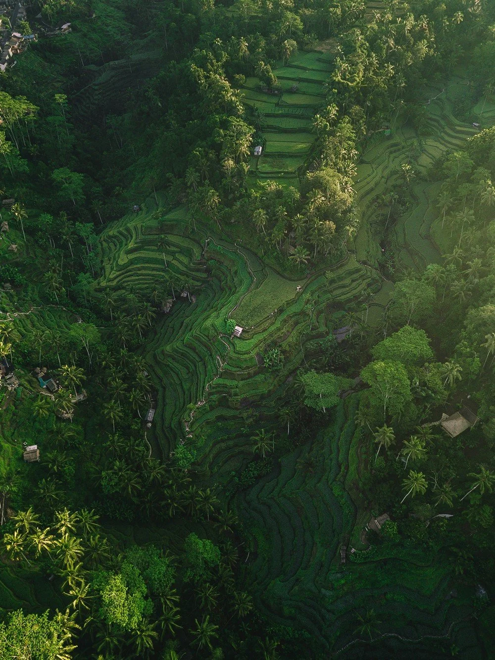 The Complete Bali Travel Guide: Best Places to Visit & Everything You Need to Know