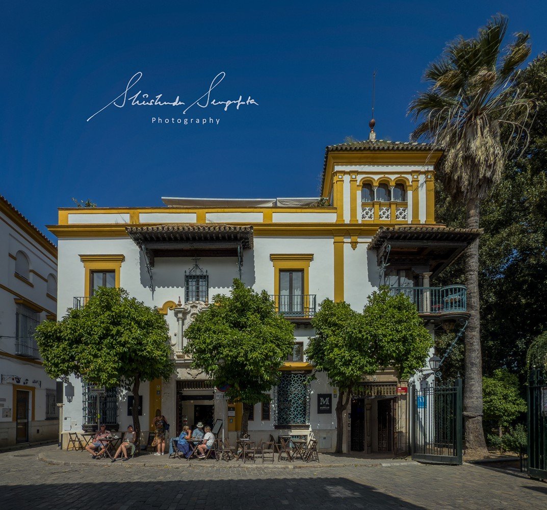 seville spain featuring historic old town barrio de santa cruz royal alcazar palace cathedral and plaza espana