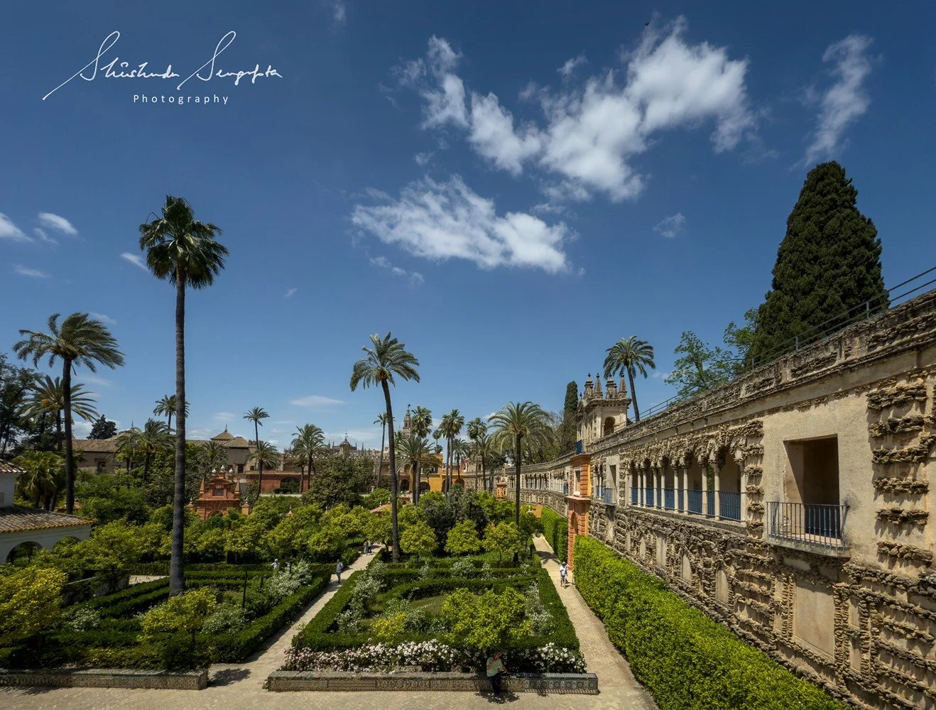 seville spain featuring historic old town barrio de santa cruz royal alcazar palace cathedral and plaza espana