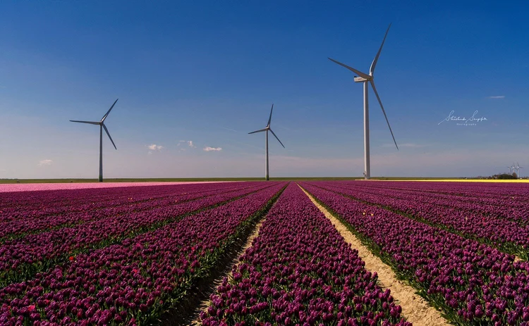 29 Best Places to Visit in the Netherlands in Spring | 29 Best Things ...