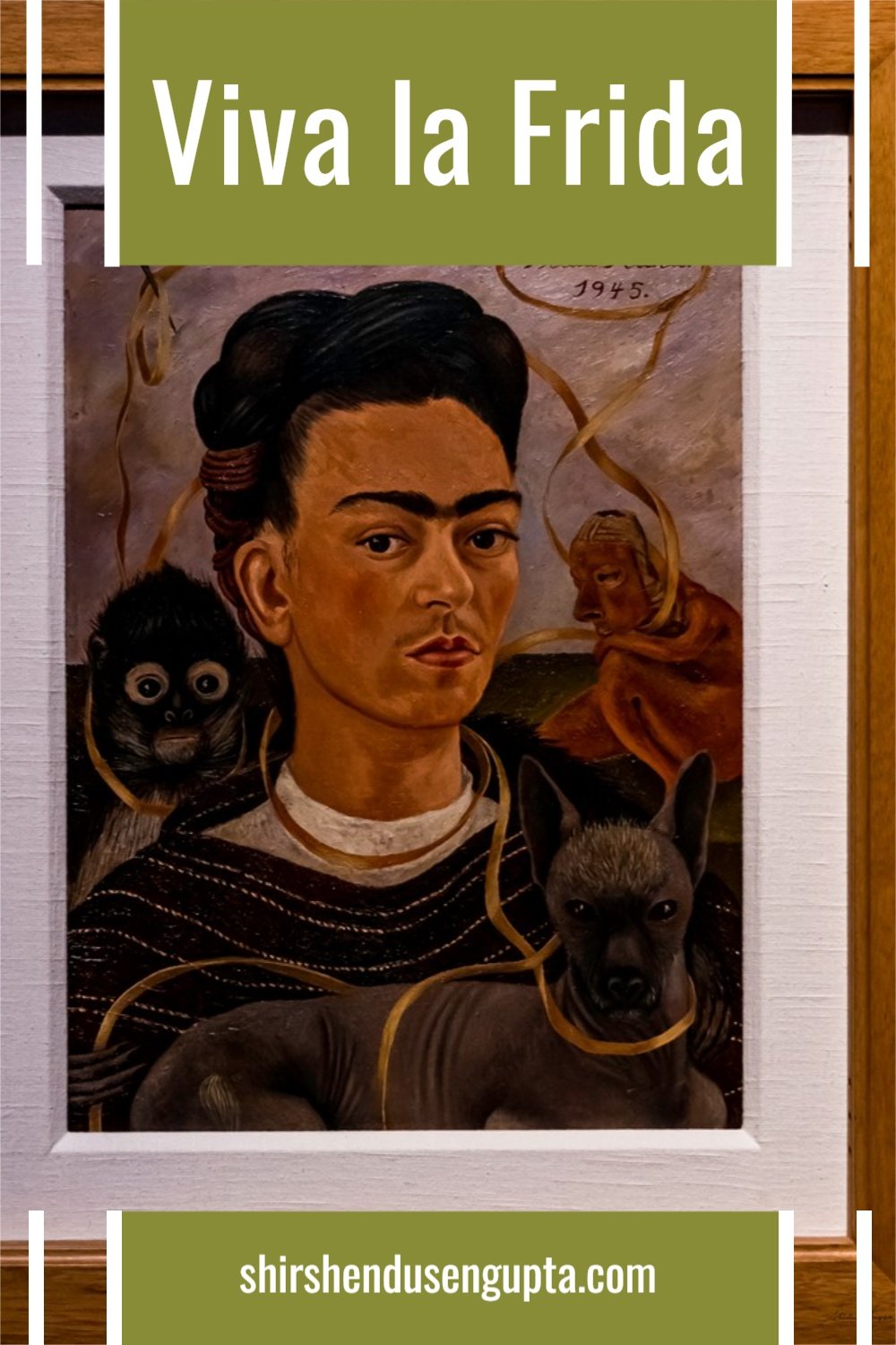 Viva la Frida | The Life and Art of Frida Kahlo | A World Premiere  Exhibition at Drents Museum in Assen, the Netherlands — Shirshendu Sengupta  Photography and Travel | Photographer and