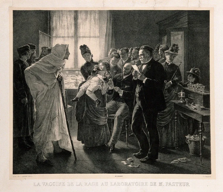 Louis Pasteur and the History of Rabies Vaccination Development ...