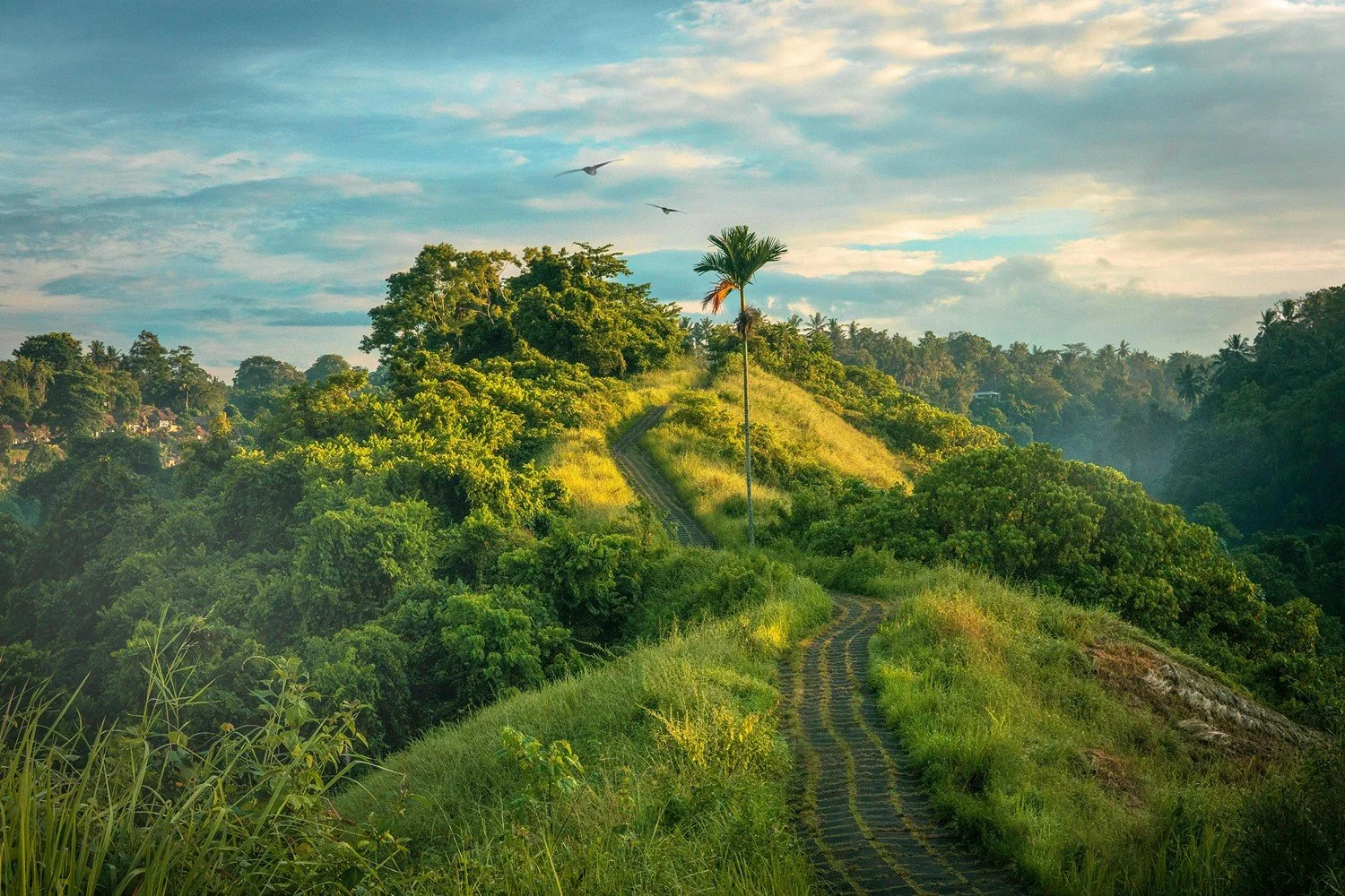The Complete Bali Travel Guide: Best Places to Visit & Everything You Need to Know