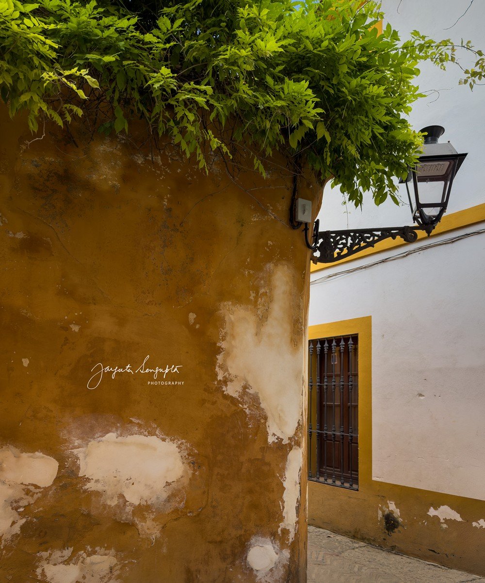 seville spain featuring historic old town barrio de santa cruz royal alcazar palace cathedral and plaza espana