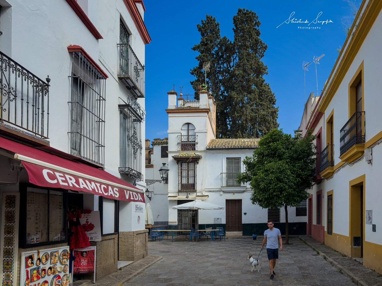 seville spain featuring historic old town barrio de santa cruz royal alcazar palace cathedral and plaza espana