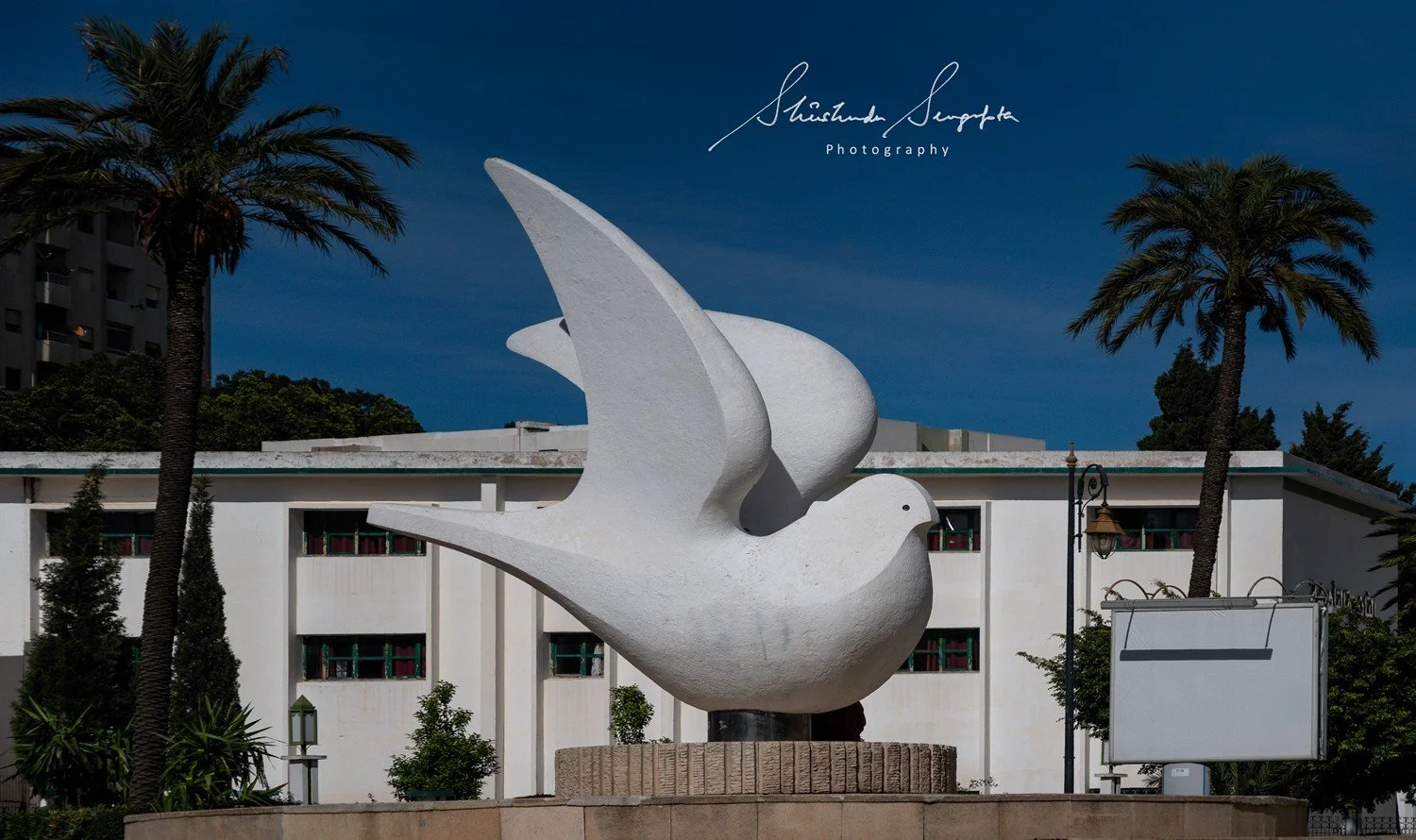 tetouan in morocco africa featuring blue and white palaces museums medina with houses doors windows city gate bab al okla dar el sanaa and oddi madrasa loukach white dove paloma blanca statue and panoramic viewpoint feddan park