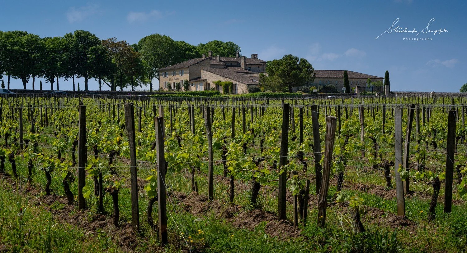 unesco world heritage village of saint emilion and bordeaux france showcasing cobbled streets vineyards medieval buildings churches