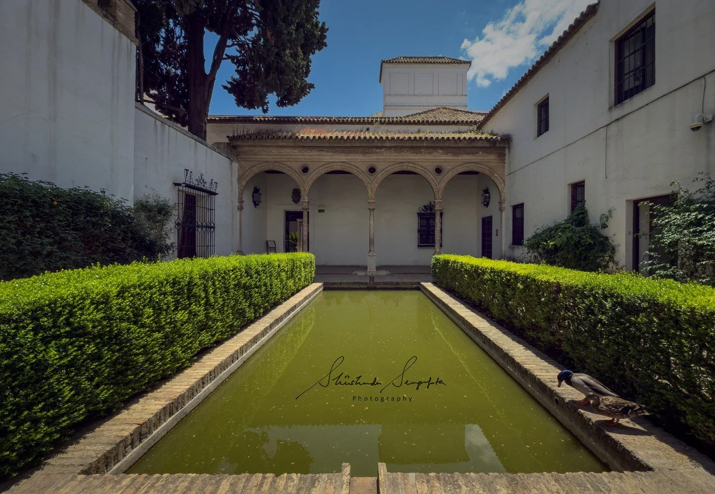 seville spain featuring historic old town barrio de santa cruz royal alcazar palace cathedral and plaza espana