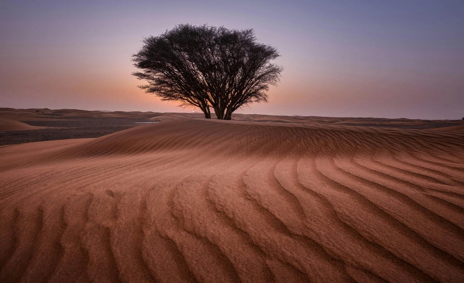 Golden Hour Photography in the Dubai Desert