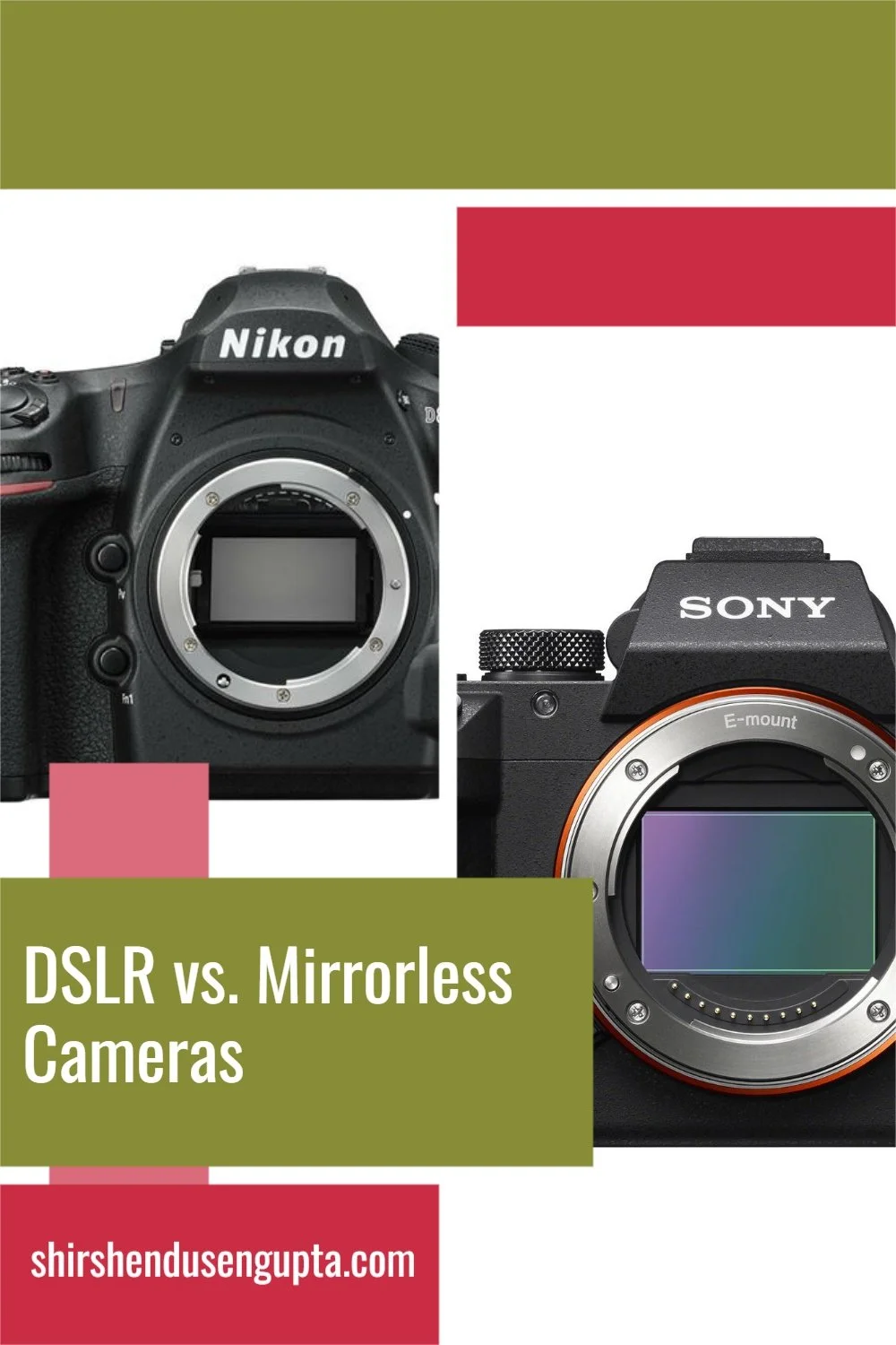 DSLR vs. Mirrorless Cameras | What are the Key Differences and How to ...