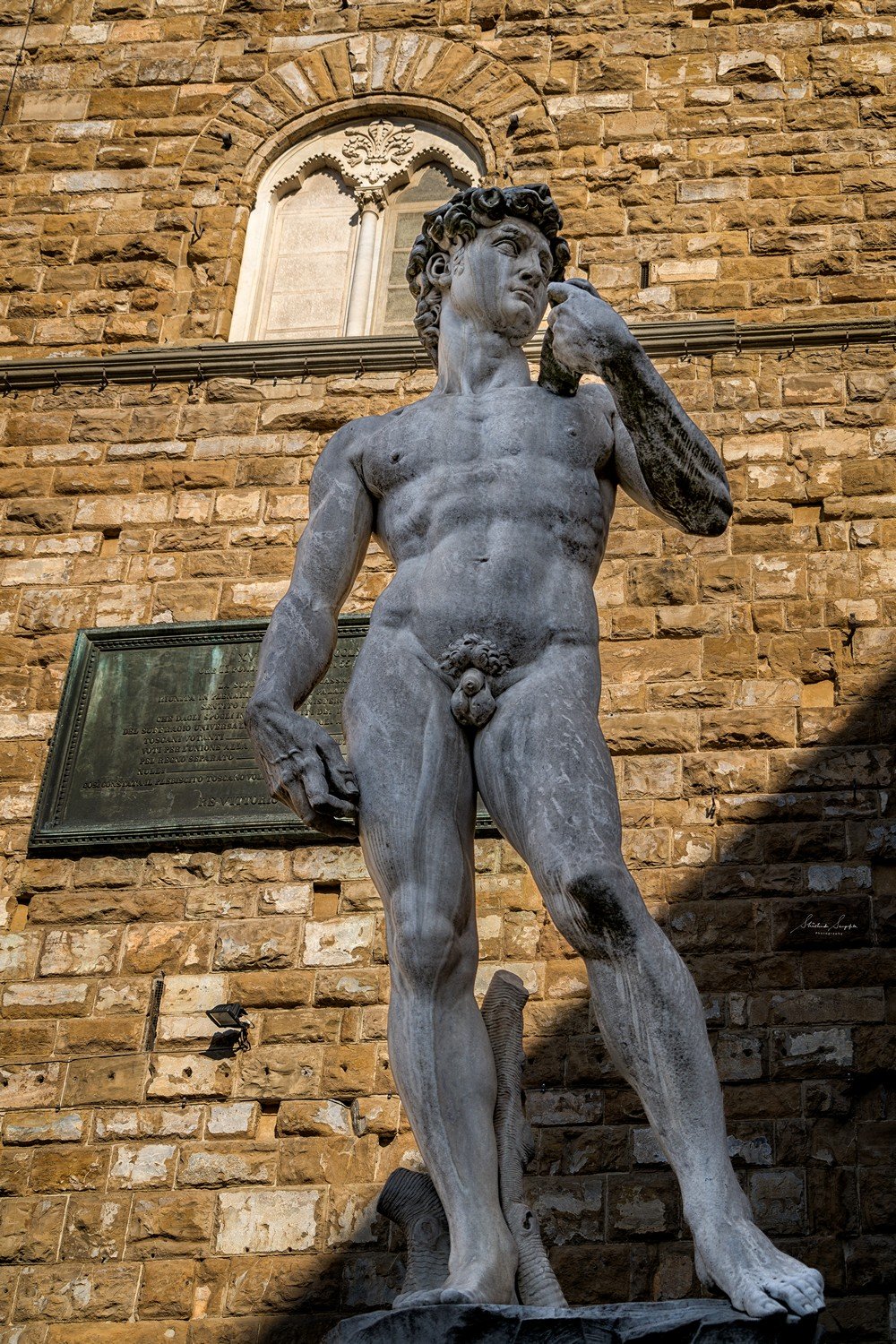 Michelangelo's David replica in front of palazzo vecchio town hall situated on piazza del signoria in florence tuscany italy shot during summer