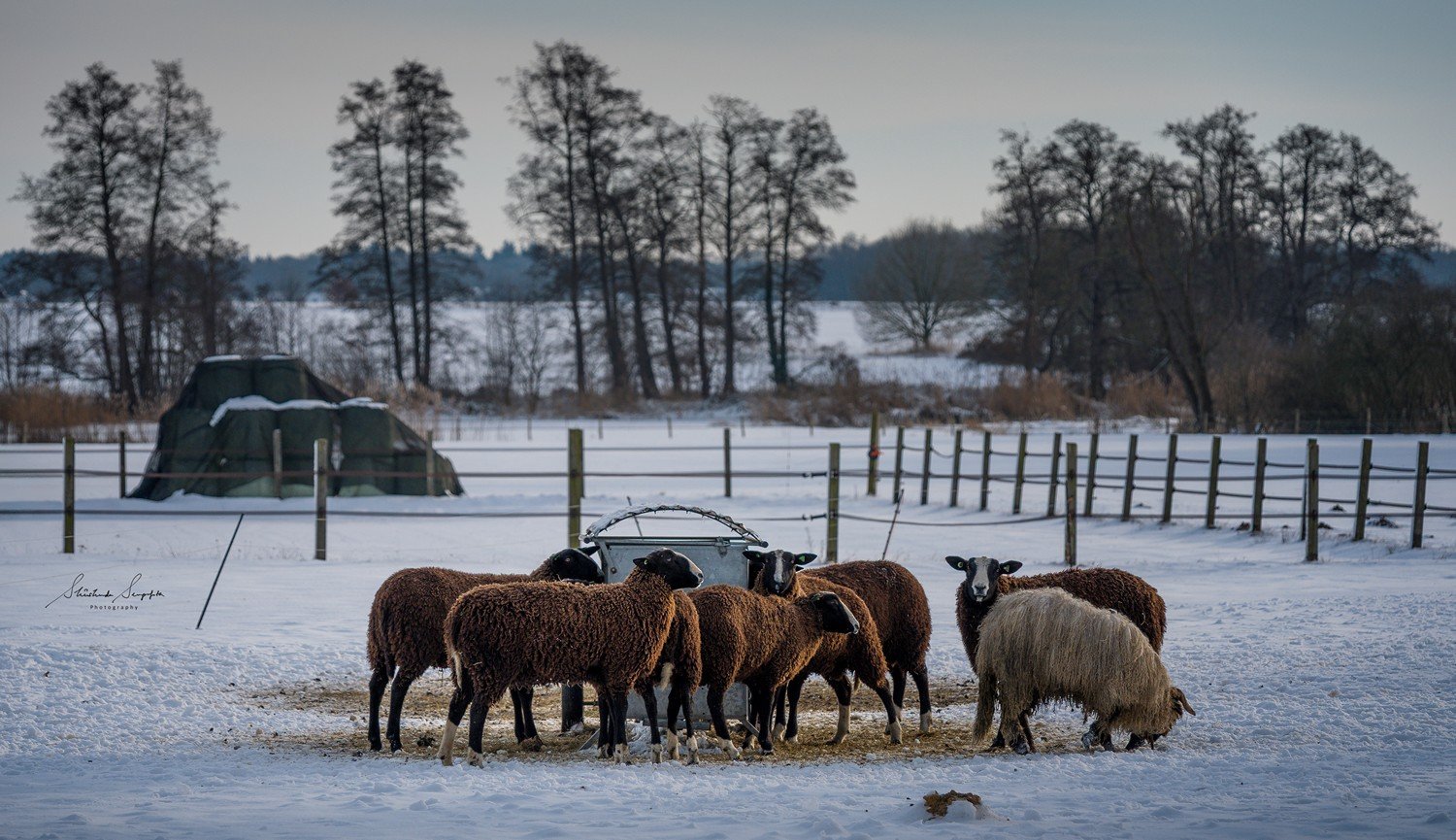 snow at hunebed dolmen stonehenge in drenthe netherlands holland shot during sunset golden hour