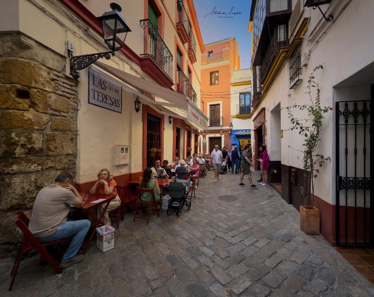 seville spain featuring historic old town barrio de santa cruz royal alcazar palace cathedral and plaza espana