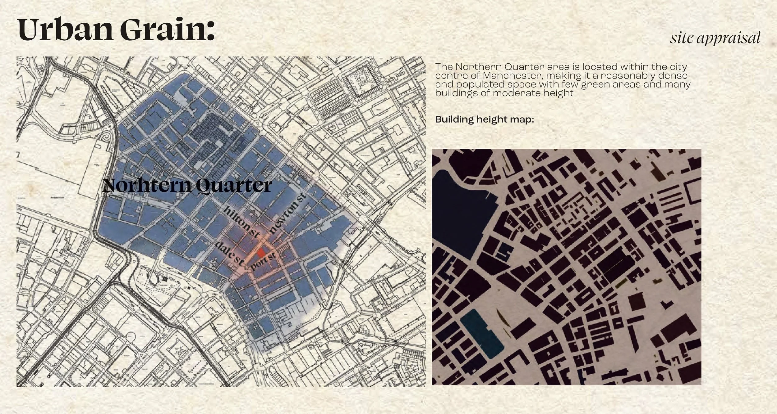 activist+project+dw+2+-images-5.jpg