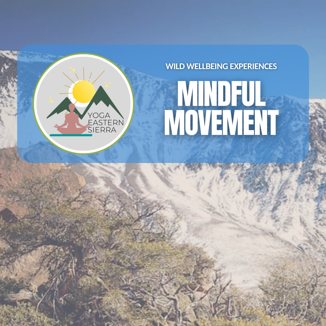 Mindful Movement
