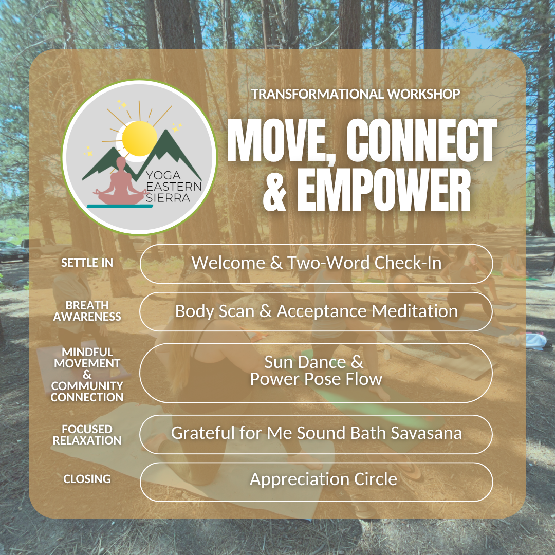 Move, Connect & Empower Transformational Workshop