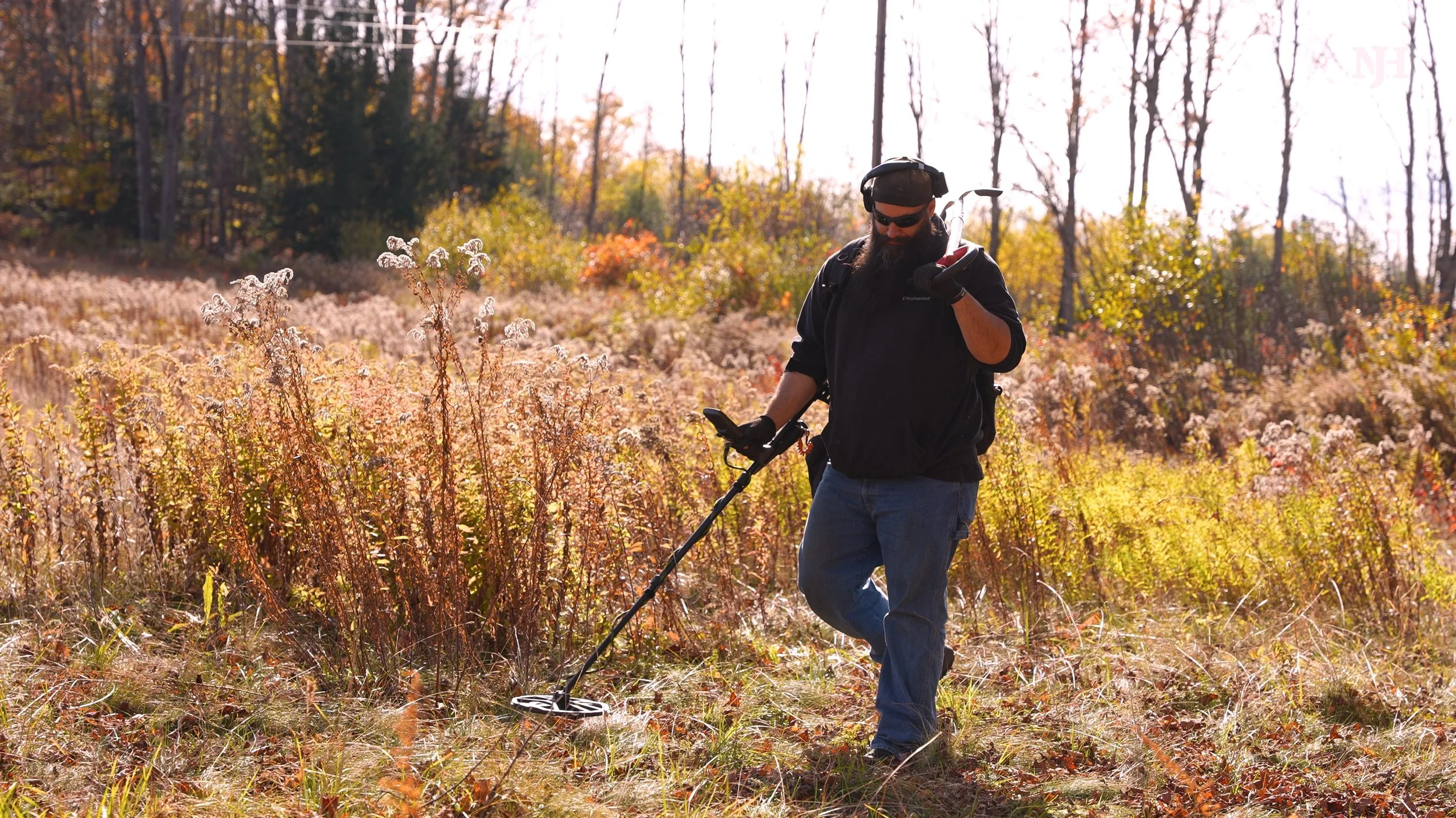Metal Detecting