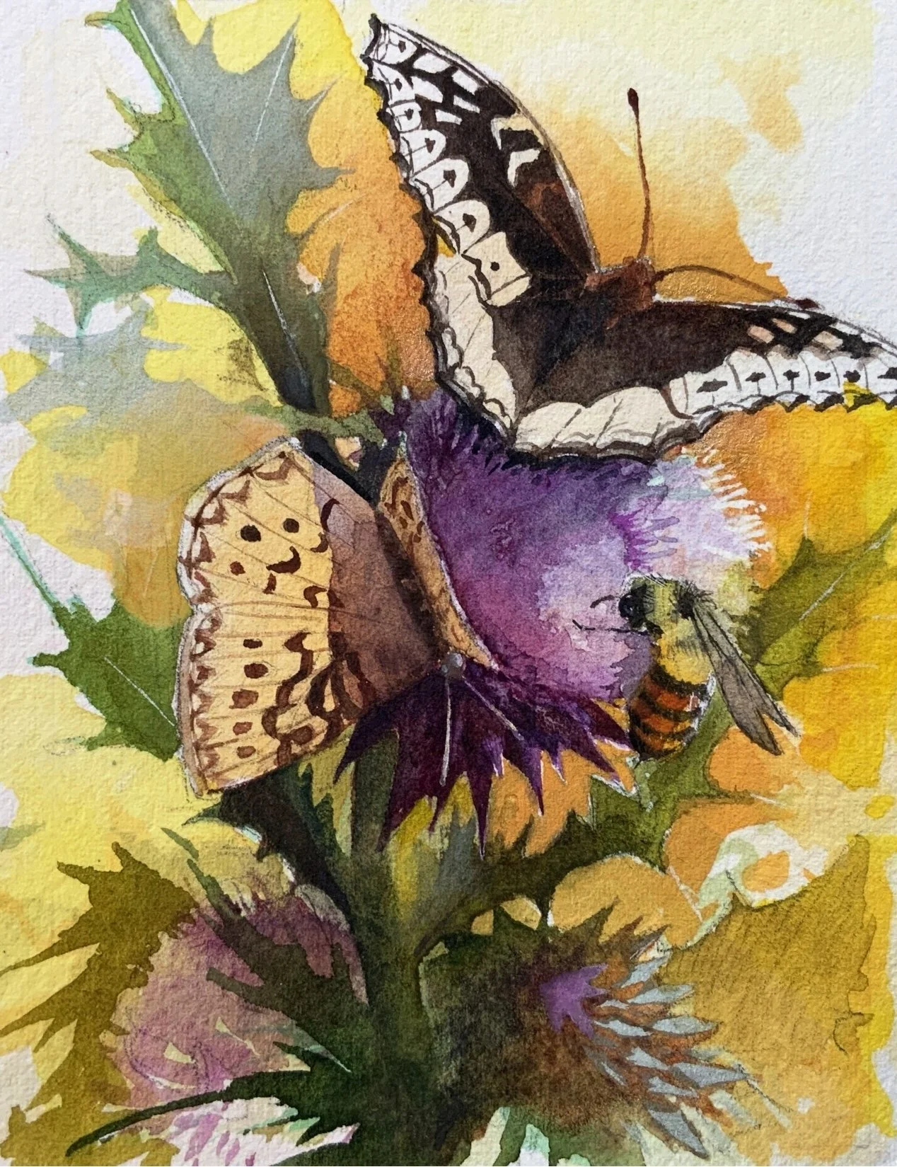 Thistle, Butterflies & Bumblebee