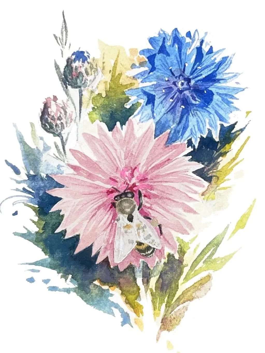 Untitled_Artwork+1.jpg