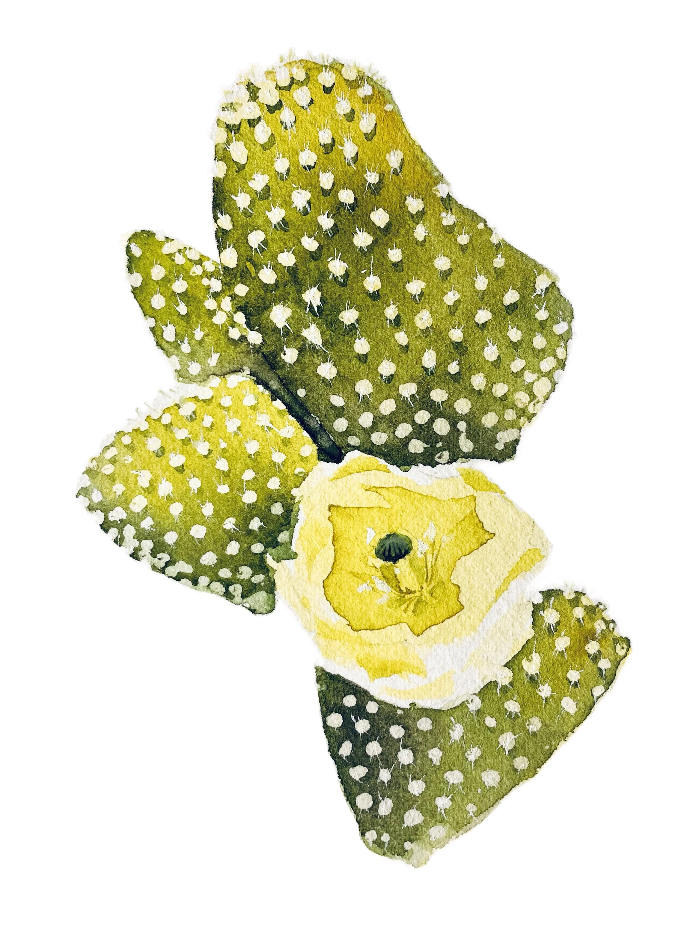 Prickly Pear.jpg