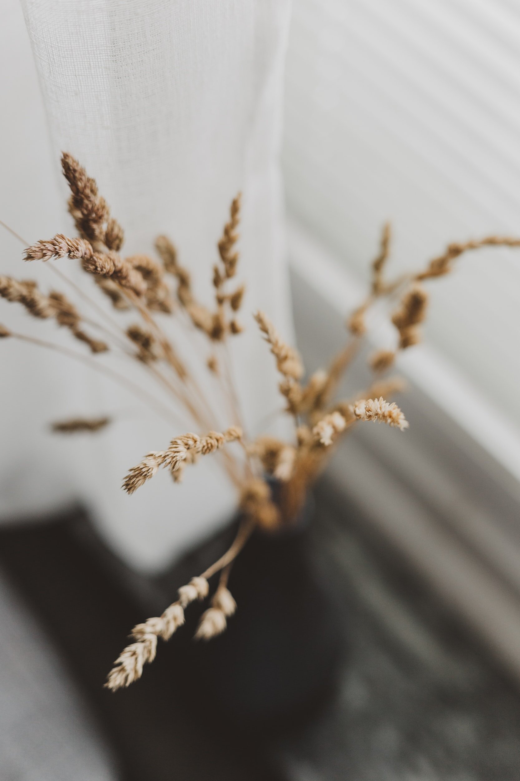 pretty grass in a vase in a cozy house