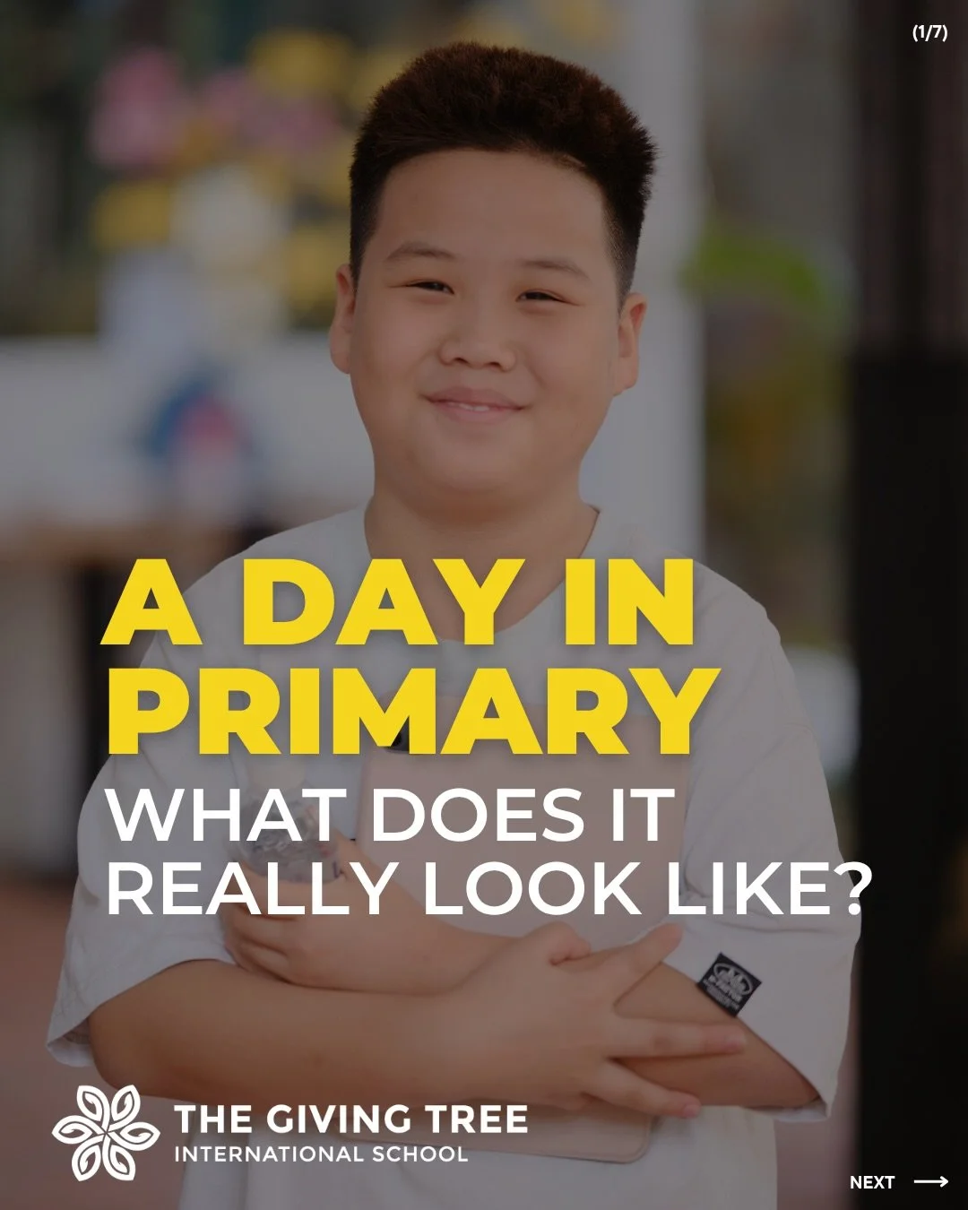 At The Giving Tree School, learning is balanced throughout the day, combining academics, creativity, movement, and social time.

Each day is designed to support not only academic development, but also confidence, curiosity, and wellbeing.

Want to se