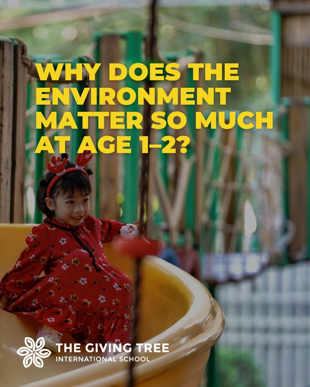 For toddlers, the environment is a part of their learning experience.

A safe, welcoming, and engaging space encourages children to explore, build confidence, and develop independence from an early age.

At The Giving Tree School, our green campus an