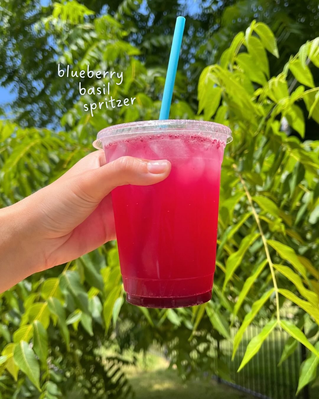 JULY DRINKS START TOMORROW🫐🌱🍵

BLUEBERRY BASIL SPRITZER 🫐🍋 blueberry basil syrup &amp; lemon spindrift

FROZEN BLUEBERRY MATCHA 🫐🍵 frozen blueberries, blueberry basil syrup, matcha, &amp; your choice of milk 

BLUEBERRY BASIL ESPRESSO TONIC 🫐