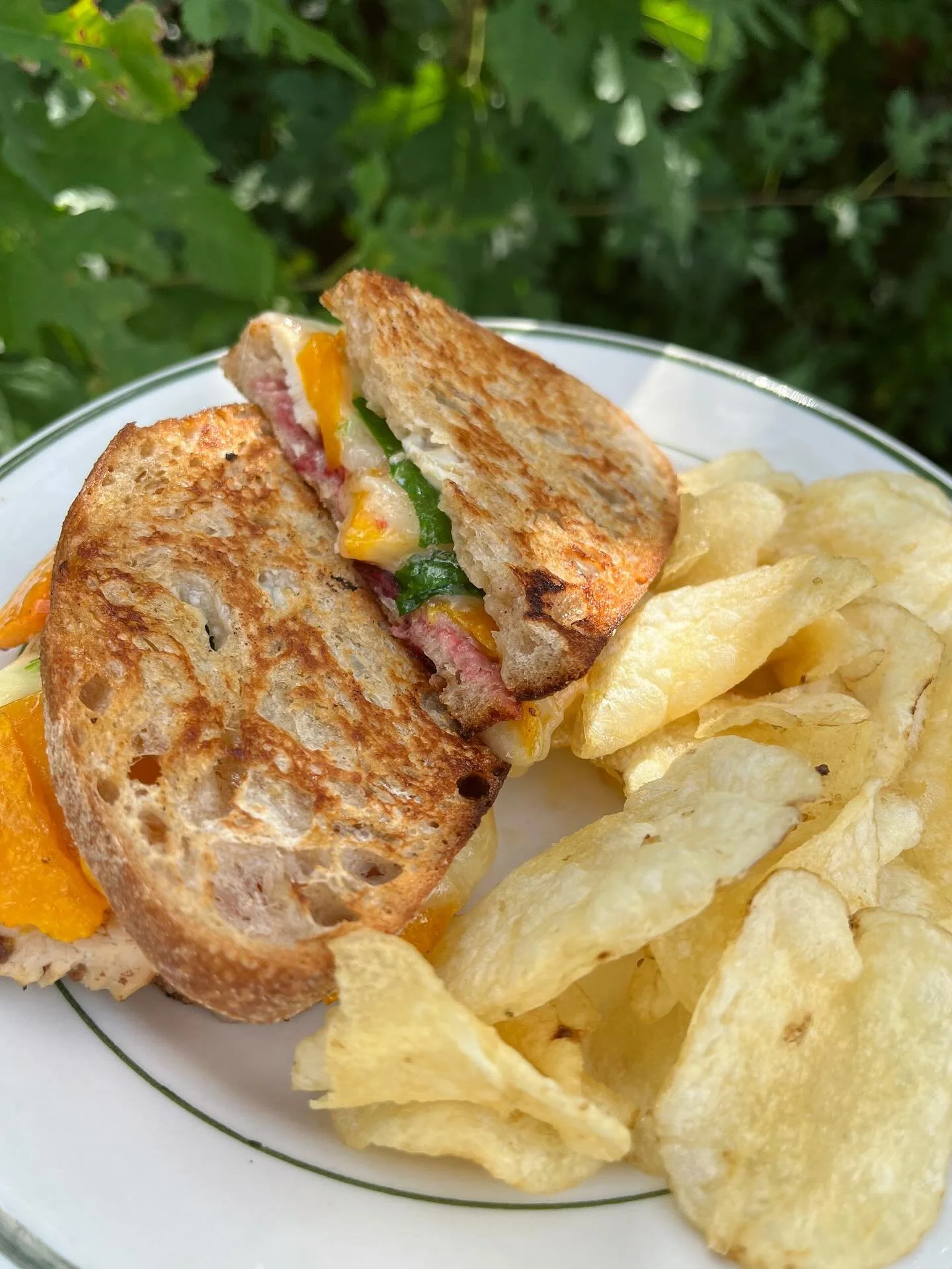FALL PANINI IS BACK BABY 🍂🍁 enjoy marinated chicken, garlic roasted butternut squash, cheddar, cranberry sauce, &amp; kale on sourdough or GF bread!! It&rsquo;s so good and it&rsquo;s so back 😘
