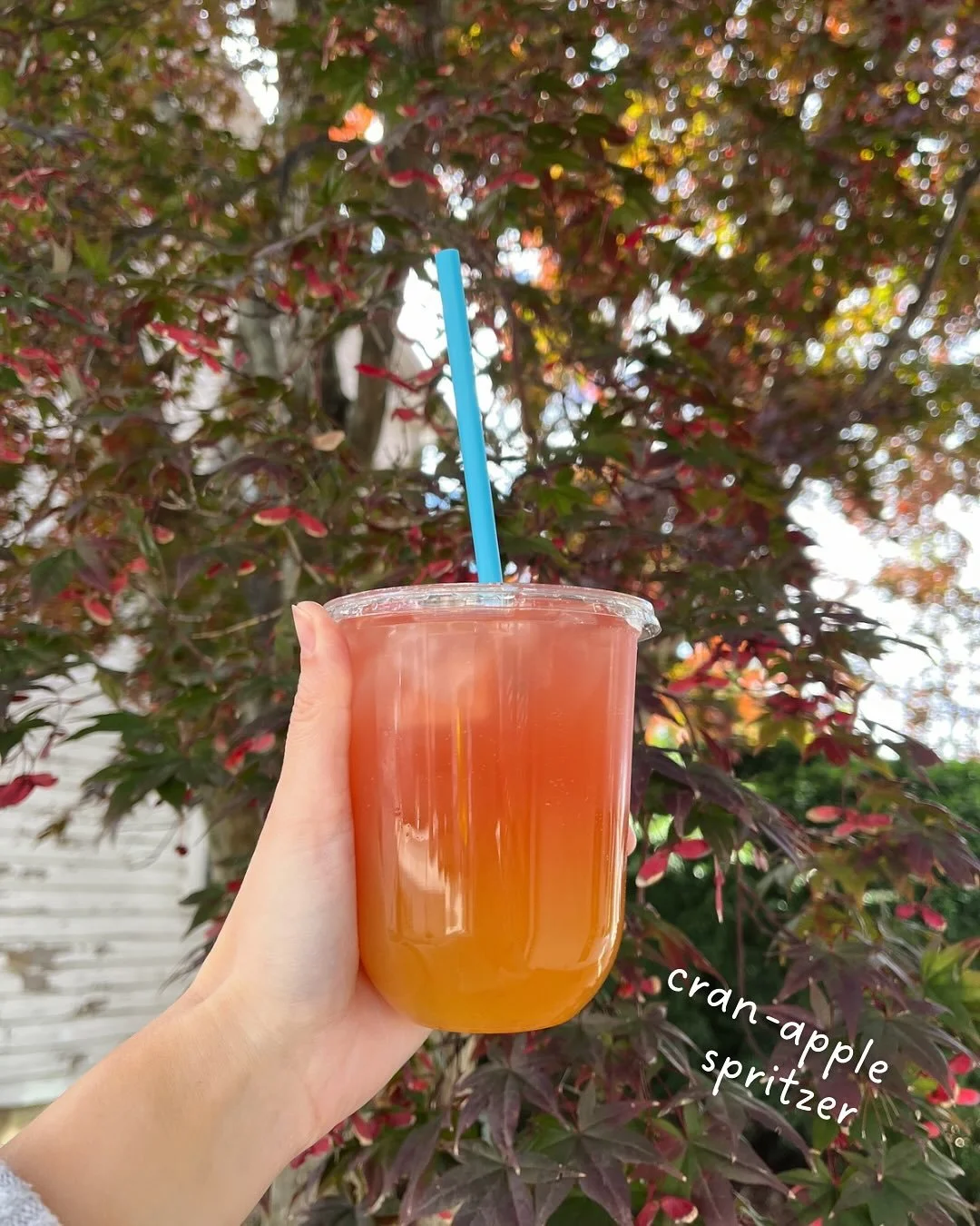 NOVEMBER DRINKS 🍁🍎

CRAN-APPLE SPRITZER 🍎 cranberry punch @drinkspindrift &amp; apple cider 

MAPLE SEA SALT MATCHA 🍁🍵 matcha, maple syrup, sea salt, &amp; your choice of milk 

CHOCOLATE CHAI 🍫 @soul.chai , chocolate syrup, vanilla, &amp; your