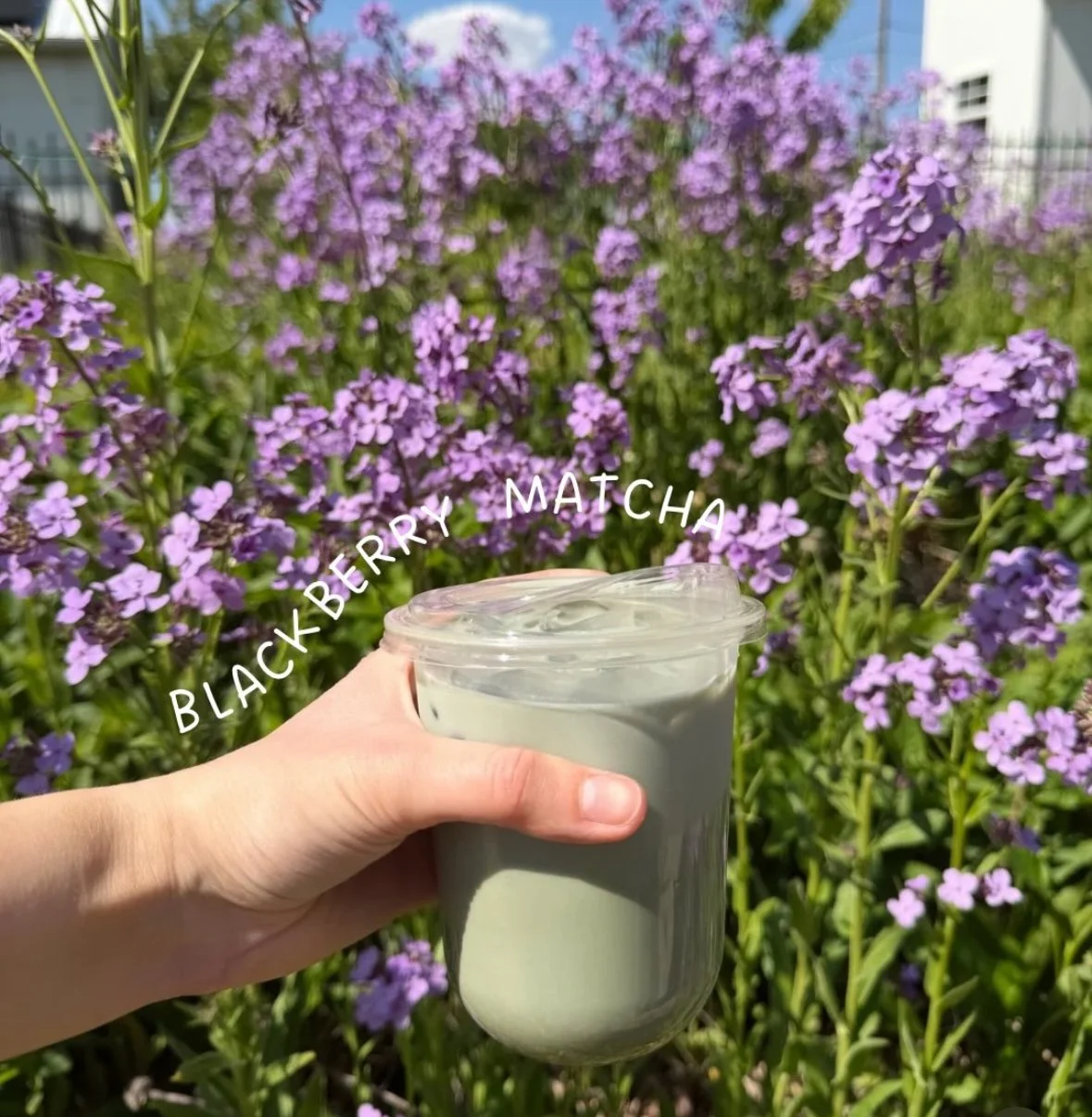 Sip into May 