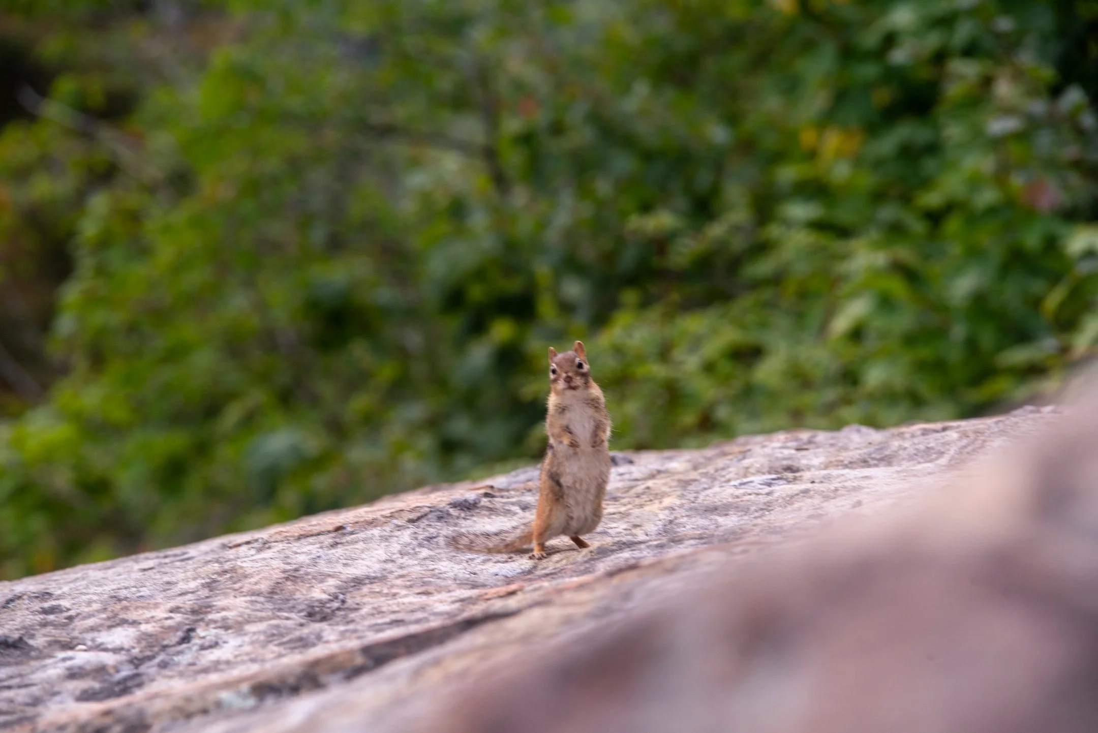 DSC_9022.jpg