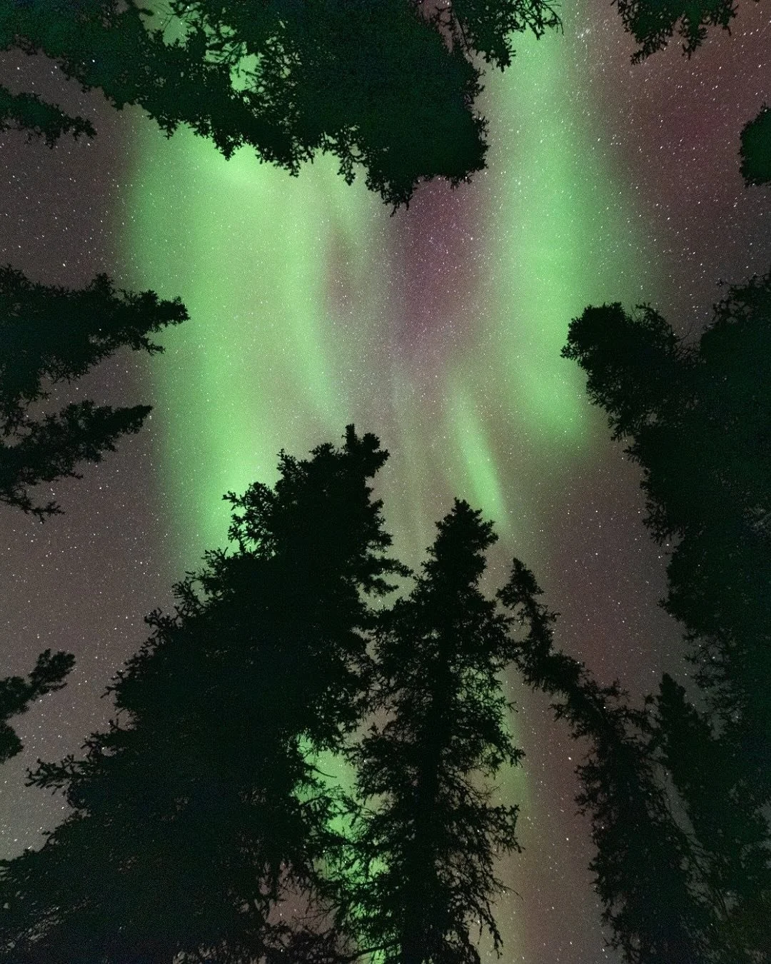 100$ de rabais pour le prochain voyage des aurores bor&eacute;ales &agrave; Yellowknife, disponible jusqu&rsquo;&agrave; fin 2024, il reste seulement 3 places, &agrave; qui la chance?! 

-

100 off the next Northern Lights trip to Yellowknife, availa