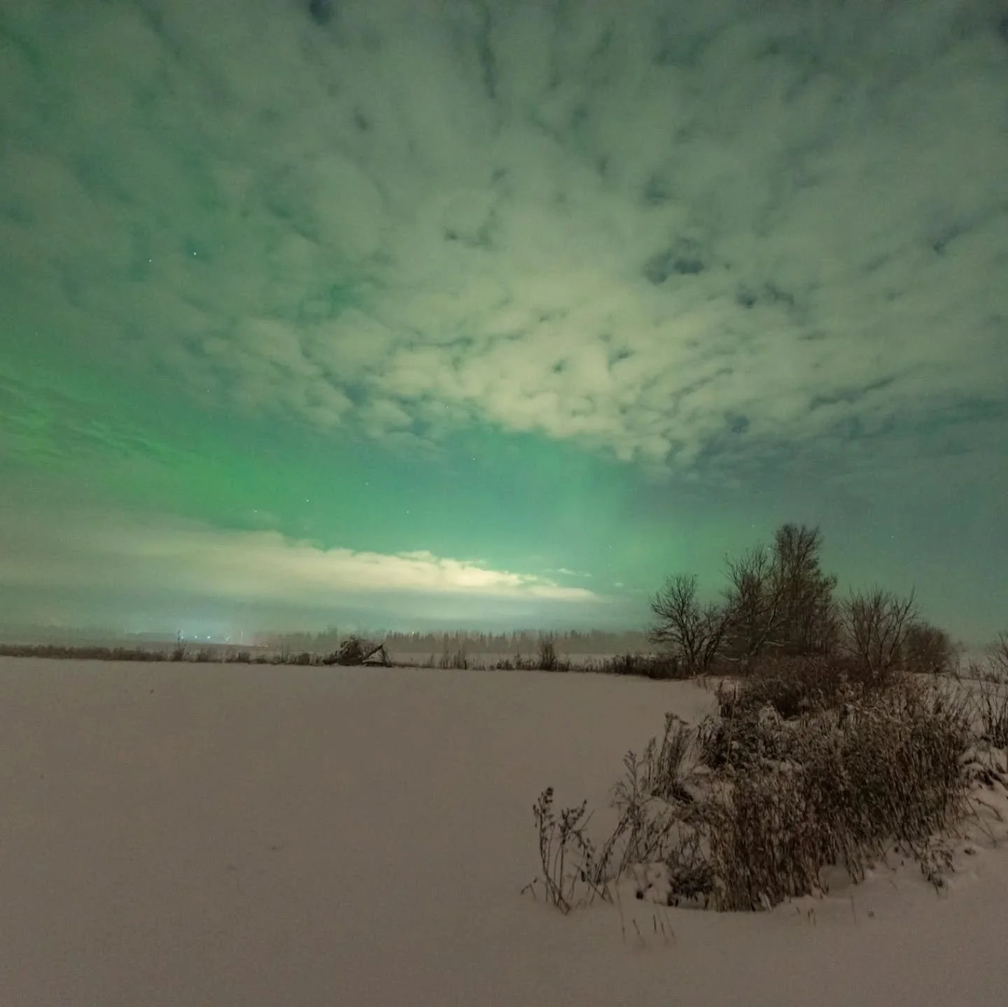 Ups &amp; Downs of Aurora Chasers

Sometimes an aurora chase doesn&rsquo;t go the way we dream&hellip; and that&rsquo;s part of the magic too. 🌙💚
Yesterday, our small Zenderfull group hit the road with hope in our hearts &mdash; even though the for