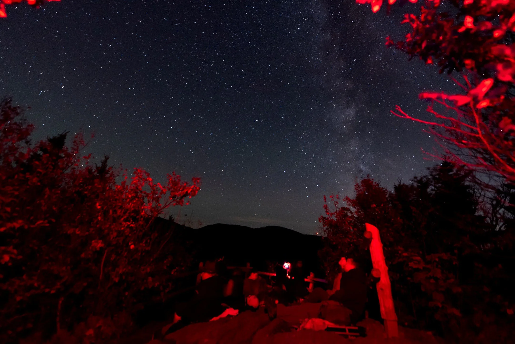 Night Hike at Sutton #1