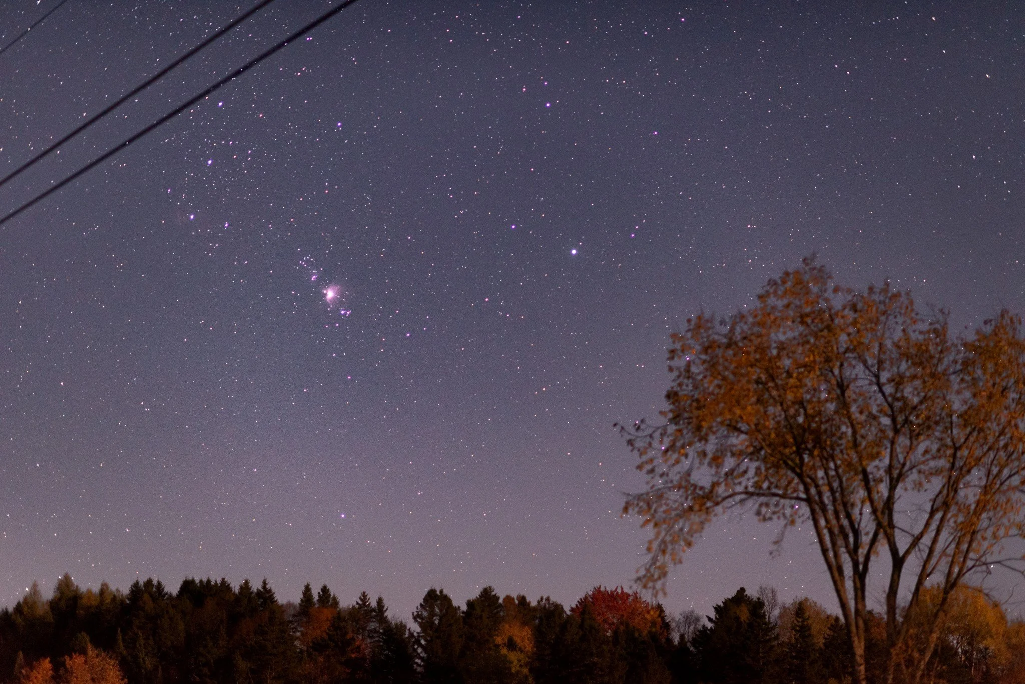 DSC_6006.jpg