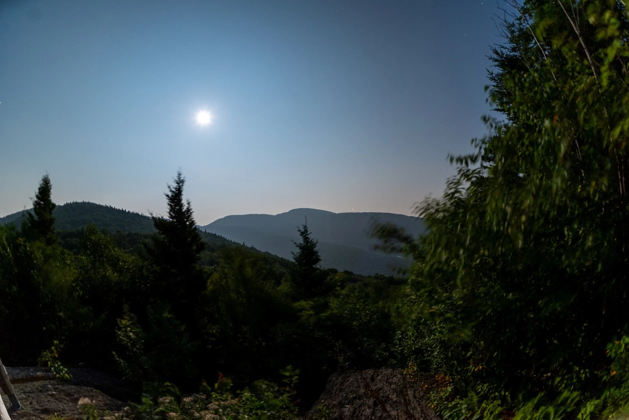 DSC_9364.jpg