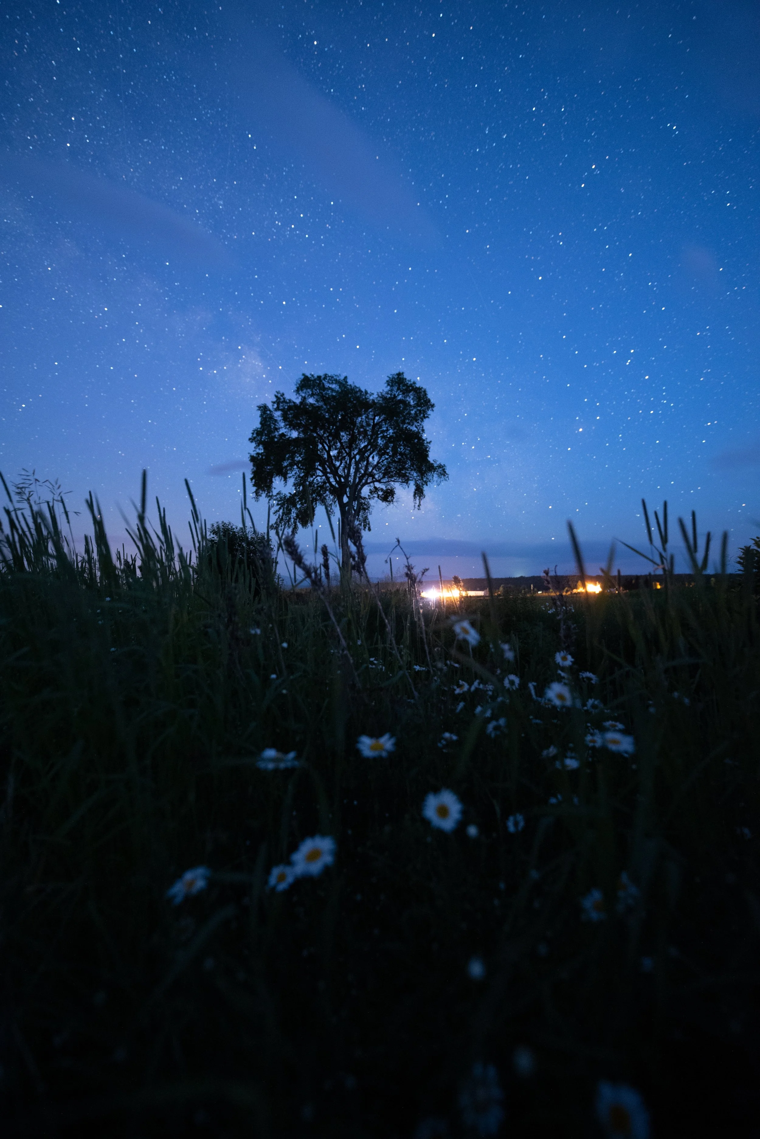 voie lactée au printemps