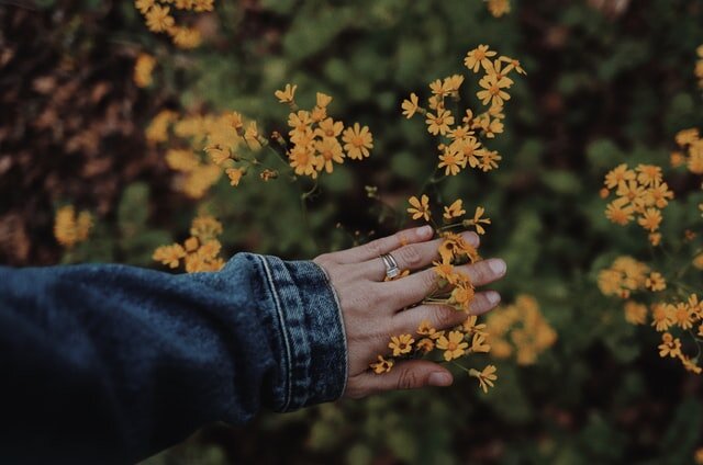 Photo by Amy Humphries on Unsplash