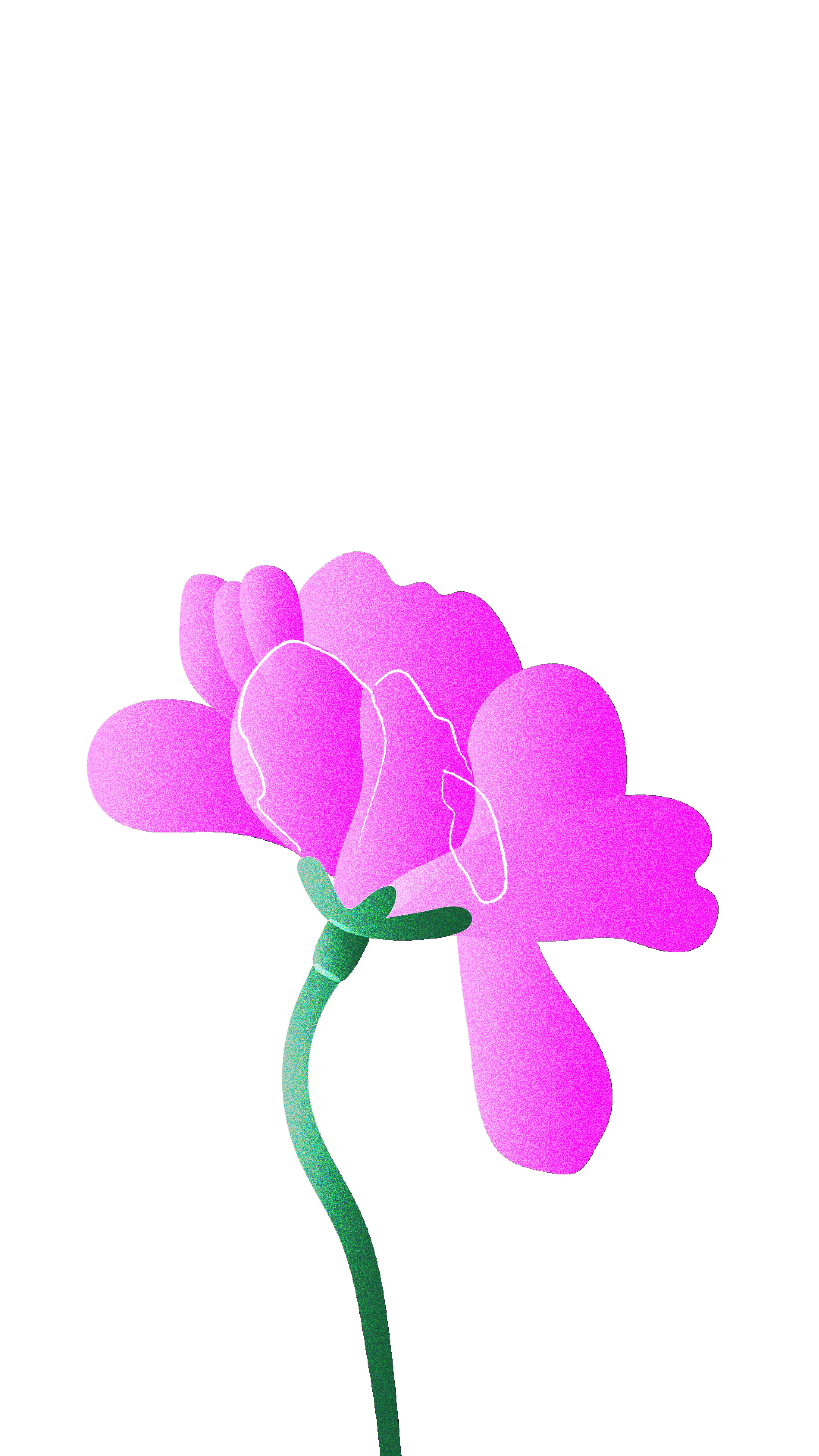 Artboard 3 copy 4@2.jpg